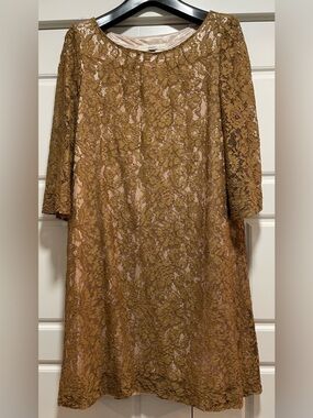 Fossil Bronze Lace Lined Shift Dress